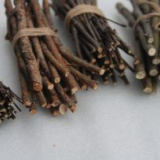 Diy řemesla z větví stromů - obrazy a dekorační prvky